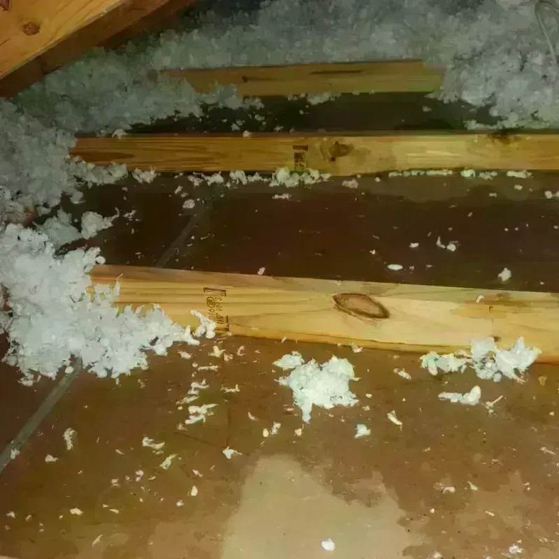 Attic Water Damage in Centerville, TX